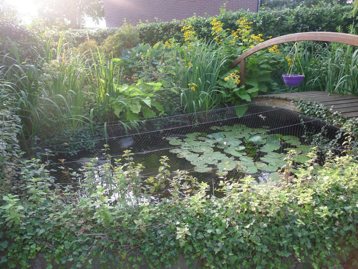 B&B De Kleine Wijngaard Roggel エクステリア 写真